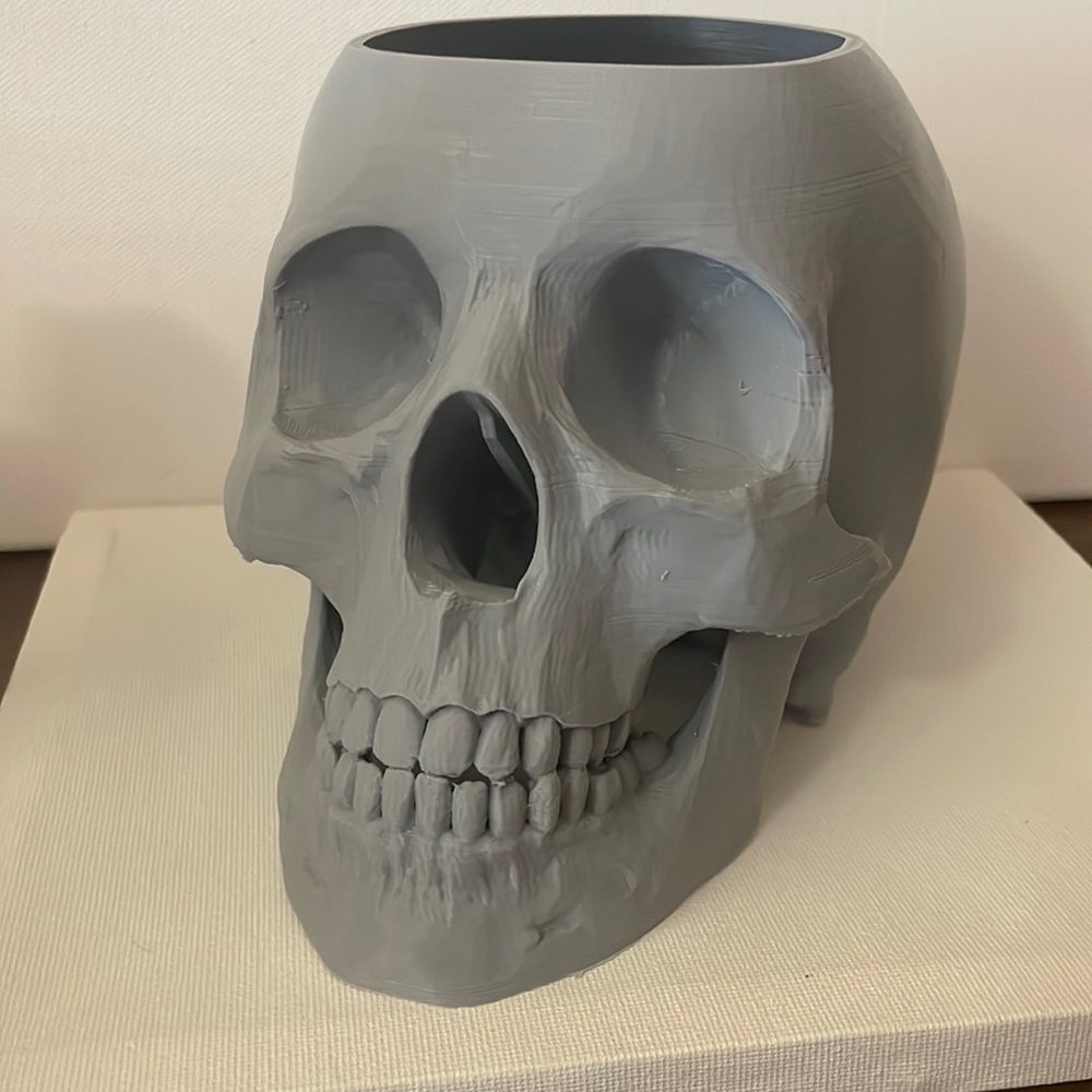 Skull planter